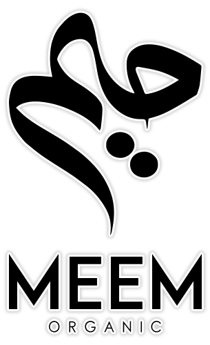 MEEM